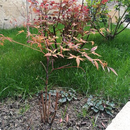 B&B 4U Matera Kültér fotó
