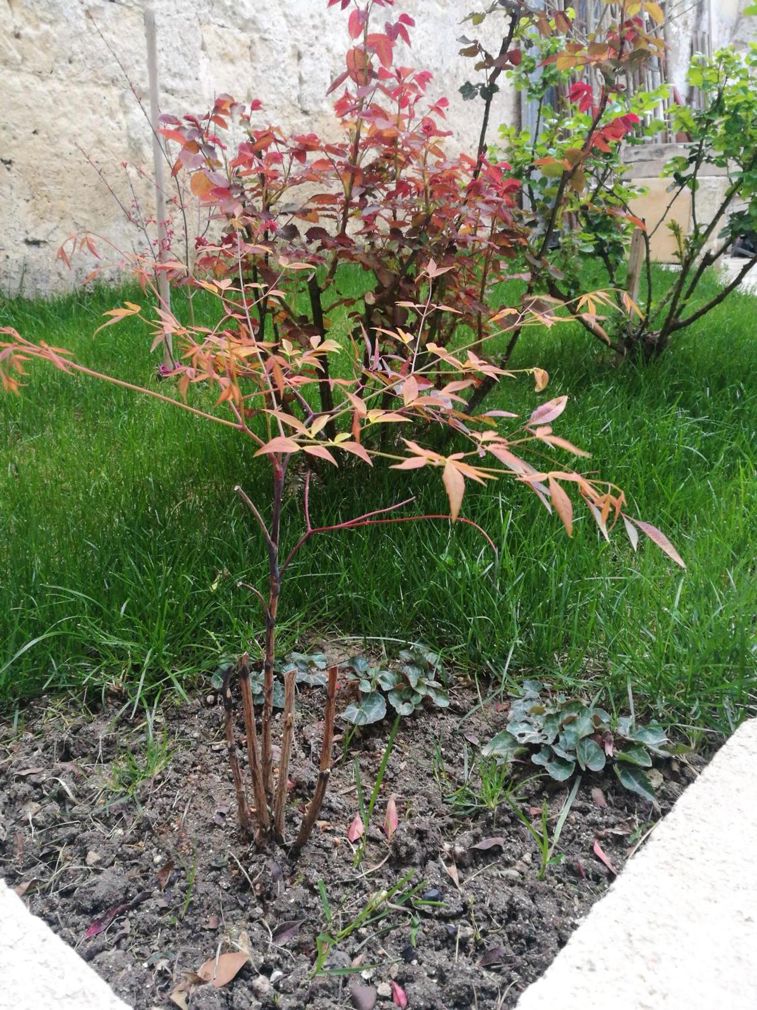 B&B 4U Matera Kültér fotó